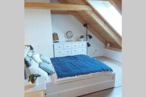 Na Plovárně Mikulov - podkrovní mezonet s klimatizací
